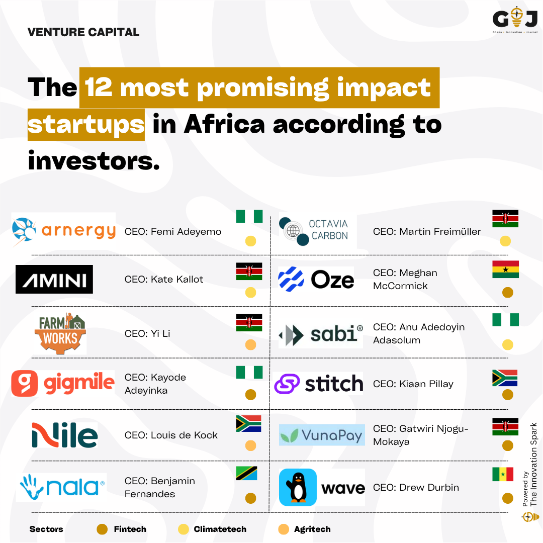 The 12 most promising impact startups in Africa according to investors.