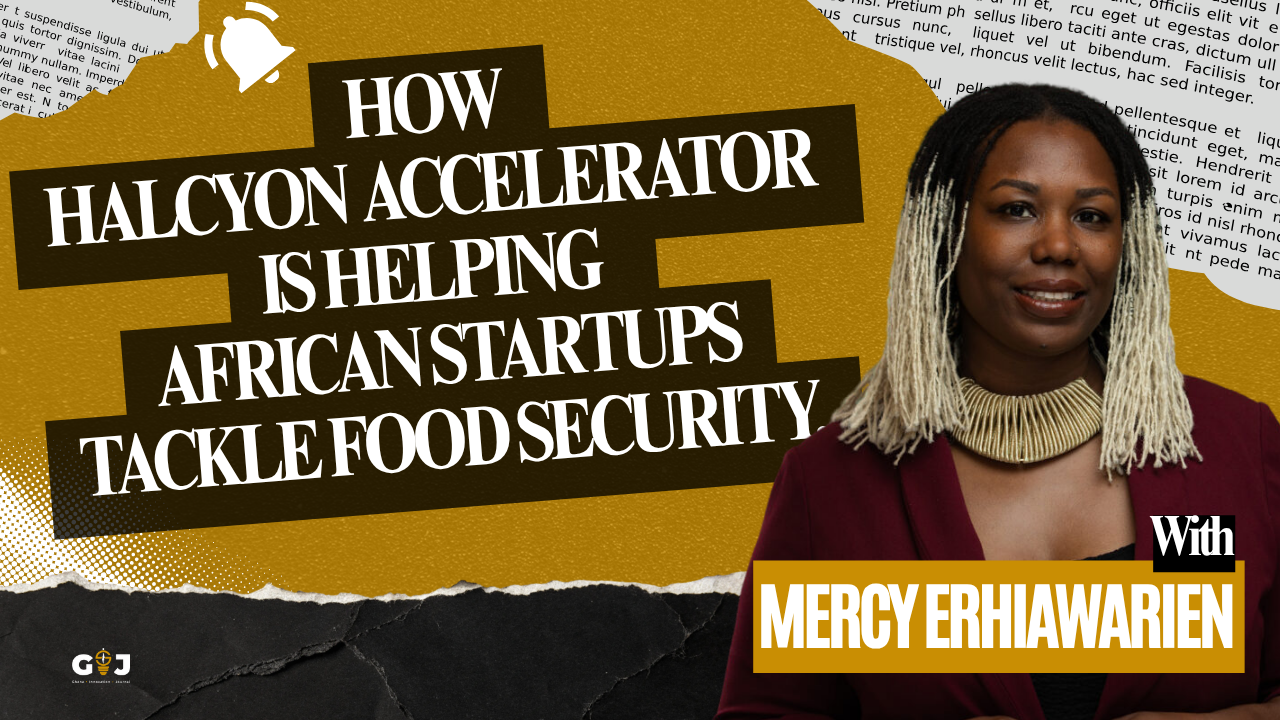 Interview with Halcyon Accelerator